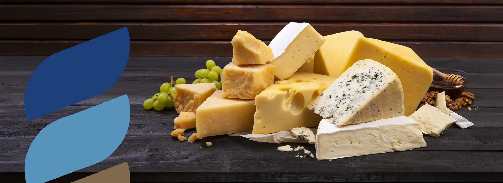 Cheese products supplier for restaurants and hotels in Saudi Arabia