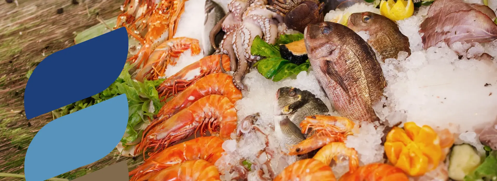 Fresh seafood supplier for restaurants and hotels in Saudi Arabia