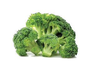 Frozen broccoli supplier in Jeddah Saudi Arabia